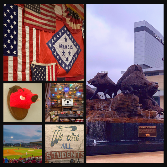 Travel Alum: Fayetteville, AR